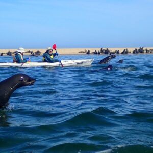 Lagoon Kayaking