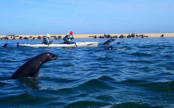 Lagoon Kayaking