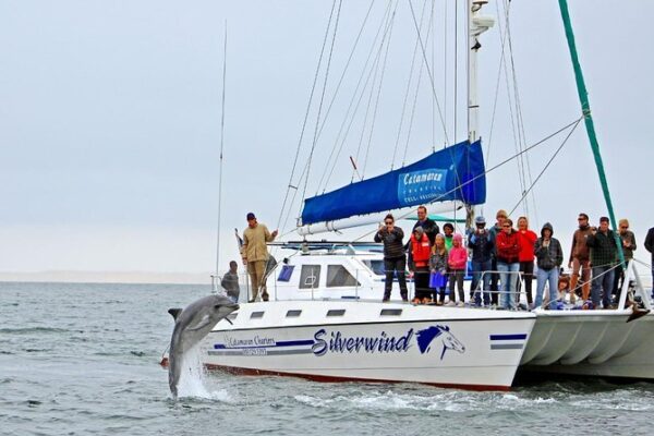 Walvis Bay Boat Cruise