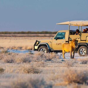 Overnight tours Etosha National Park