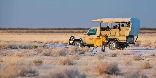 Overnight tours Etosha National Park